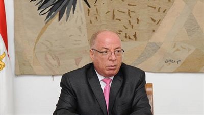 برلماني يستقبل وزير الثقافة لافتتاح عددًا من المشروعات بأسوان