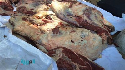 بالصور.. ضبط سيارة تابعة لوزارة الزراعة تبيع لحوم إناث محظورة