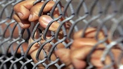 الحبس 3 سنوات لمتهمي واقعة ذبح 4 حمير في مصر القديمة