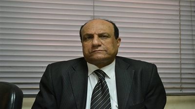 نجيب جبرائيل: مجلس النواب لم يقم بجزء من الدور المنوط به