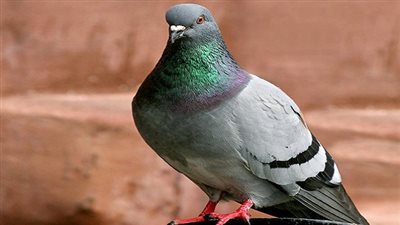 تعرف على أجمل روايات عن 