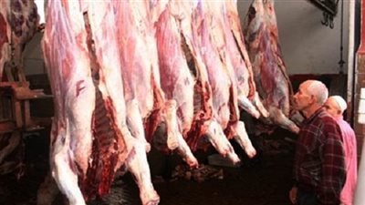 تعرف على أسعار الحوم المبردة في 353 منفذًا بالمحافظات 