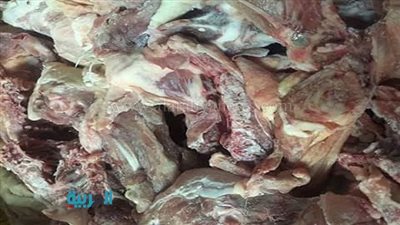 بالصور.. ضبط 7 أطنان لحوم فاسدة في المرج 