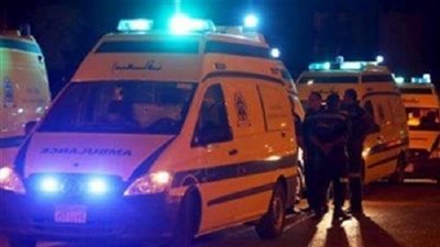 مصرع 3 وإصابة آخرين في انهيار نفق بطريق 