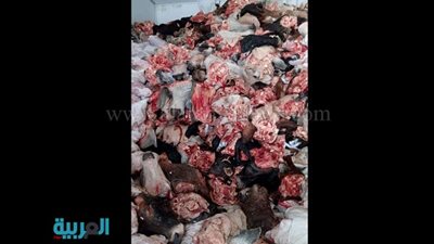 بالصور.. ضبط 100 طن لحم رأس ماشية فاسدة بالجيزة 