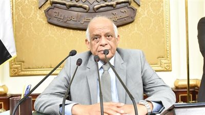 علي عبد العال: البرلمان يحتفل بنجاحه في شرم الشيخ بحضور السيسي