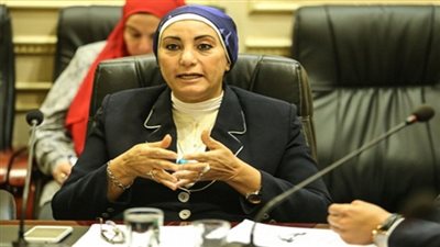 برلمانية: العمل الميداني هدف لجنة الإعلام خلال إجازة البرلمان