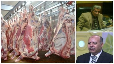 مديريات القاهرة تستعد لعيد الأضحى.. 