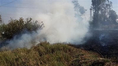 استمرار حملات 