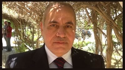 الجيزة استهلكت  620 مليون رغيف خلال شهر أغسطس الماضي