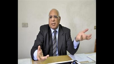 نادر نورالدين: تطبيق الدعم النقدي سيحرر الدولة من الفساد