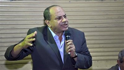 عفيفي كامل: أؤيد تحديد مدة إعارة المصريين بالخارج