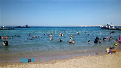 بالصور.. مشاهد من 