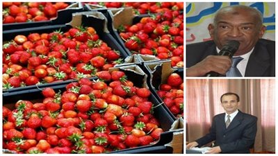 رسالة من دول العالم: 