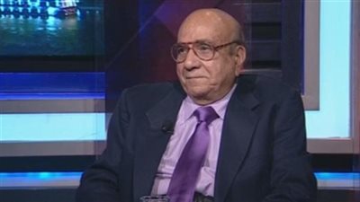 الرشيدي: القضية الفلسطينية من أولويات السيسي في المحافل الدولية