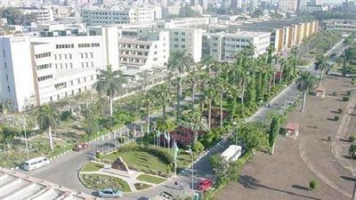 جامعة المنصورة تحصد جوائز الافراد والهيئات للعام 2015