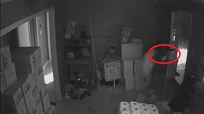 بالفيديو.. إمرأة تواجه 3 لصوص مسلحين بكل شجاعة