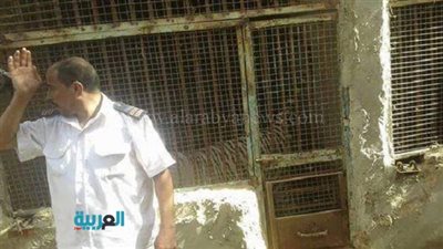 شاهد.. صور الحيوانات المفترسة داخل مزرعة العياط 