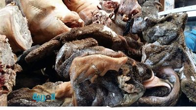 بالصور.. ضبط 5 أطنا ن لحوم فاسدة داخل ثلاجة فى الفيوم