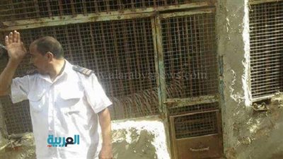 نيابة العياط تقرر إغلاق مزرعة 