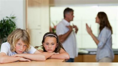 رئيس قسم المرافعات بالمنوفية: هناك ثغرات عدة في قانون الرؤية 