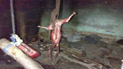 بالفيديو.. على طريقة بوحة| مواطن يسلخ كلبا حيًا