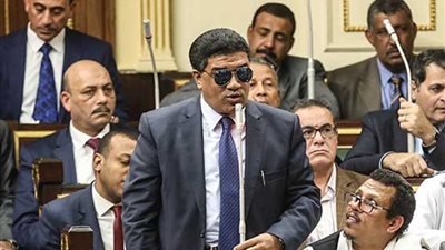 عن احتفالية النواب بشرم الشيخ.. خالد حنفي: