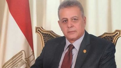 سلامة الجوهري: البرلمان سيصوت على قانون الخدمة المدنية اليوم