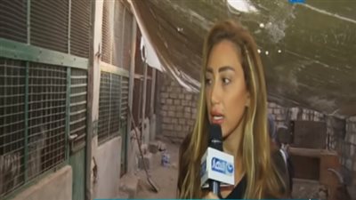 بالفيديو.. ريهام سعيد داخل مزرعة الحيوانات المفترسة بالعياط