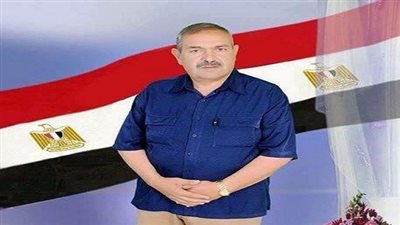 النائب أحمد شرموخ يعلن مساندته ودعمه لمشروع ملوي الجديدة.. ويتهم نواب 