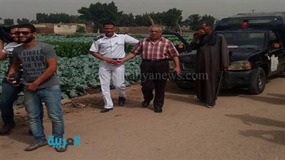 بالفيديو والصور.. إعدام 100 طن لحوم فاسدة في الجيزة