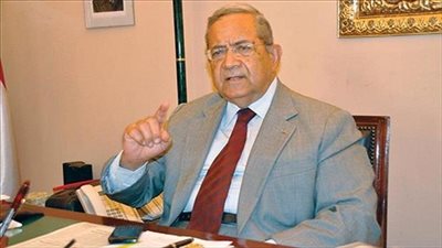 دبلوماسي: مصر تتبع القوة السيادية الدولية لتتحكم في الأوضاع السورية