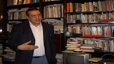 أستاذ تفاوض دولي: مصر لاتمتلك القوة للتأثير في الأزمة السورية