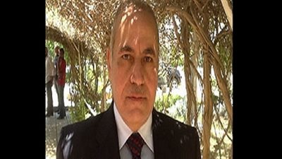 تحرير 170 محضر بالمواد البترولية والبداليين في الجيزة