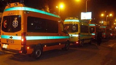 مصرع سيدة في تصادم ميكروباص بمدرعة شرطة ببئر العبد