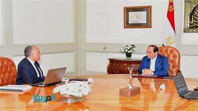 السيسي يوجه بمواصلة إزالة التعديات على النيل