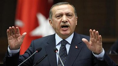 أستاذ علاقات دولية: اردوغان لا يملك القوة لزعزعة النظام المصري