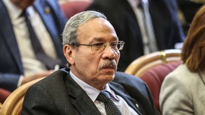 علاء عبدالمنعم: المناصب البرلمانية مسئولية جسيمة 