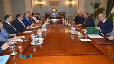 وزير الخارجية يوجه بسرعة الاستجابة لمشاكل المواطنين في الخارج