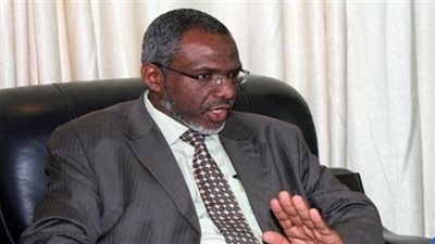 وزير الموارد المائية السوداني يصل القاهرة
