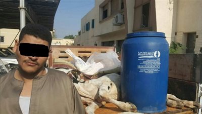 بالصور.. مباحث تموين الفيوم تضبط طن لحوم عجول نافقة قبل بيعها 