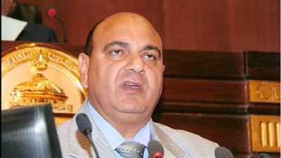 عصام القاضي: التأمين الصحي وهيئة الدواء على رأس أولويات لجنة الصحة