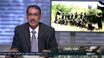 ضياء رشوان: 