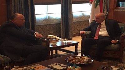 سامح شكري يلتقي رئيس مجلس النواب اللبناني  