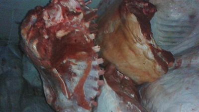 ضبط 300 كيلو لحوم فاسدة بطنطا