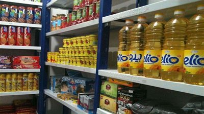 بالفيديو.. شعبة 