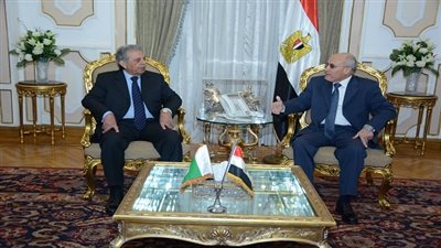 تعاون مصري باكستاني في التصنيع الحربي