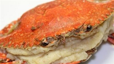 الكابوريا تسجل 37 جنيها بسوق العبور