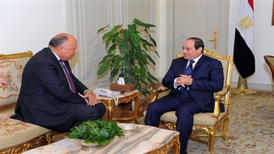 السيسي يتلقي تقريراً من وزير الخارجية حول نتائج زيارته للولايات المتحدة