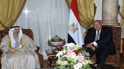 سامح شكرى يستقبل وزير الدولة للشئون الخارجية الإماراتي